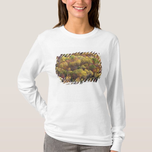 Camiseta Autumn, Vermont, EUA 2 (Frente)