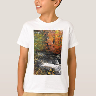Camiseta Autumn Waterfall