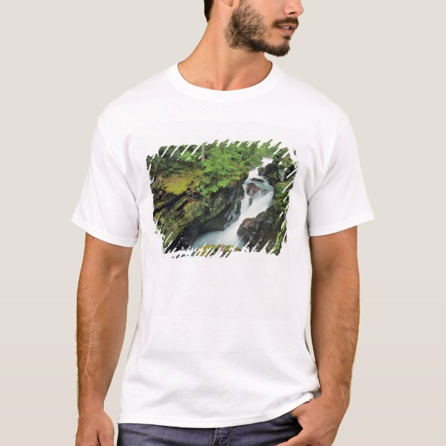 Camiseta Avalanche Gorge no Parque Nacional de Glacier em (Frente)
