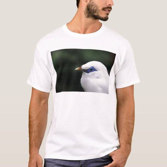 Camiseta Aves (Frente)