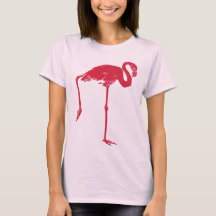 Aves Antigas, um Flamingo Rosa com uma Perna Levan