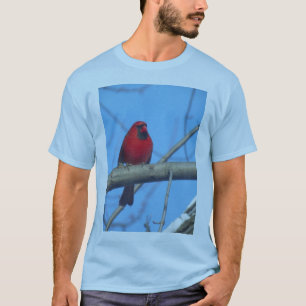 Camiseta Aves Cardinais