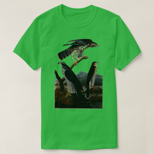 Camiseta Aves Goshawk de Raptores de Prey Hawk Air, na vint (Frente do Design)