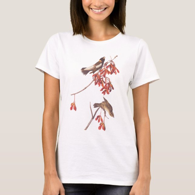 Camiseta Aves para cofragem de arroz da Audubon ou Aves Bob (Frente)