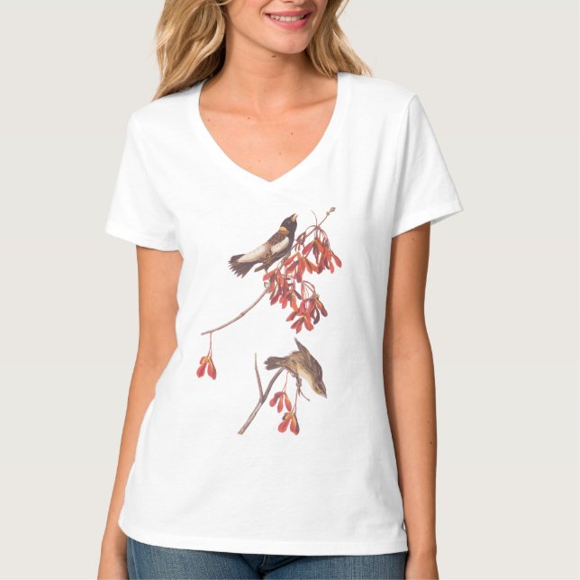 Camiseta Aves para cofragem de arroz da Audubon ou Aves Bob (Frente)
