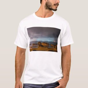 Camiseta Azuis da cidade de Chiba