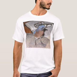 Camiseta Azul da bíblia