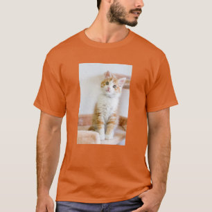 Camiseta Azul doce gatinho Eyed