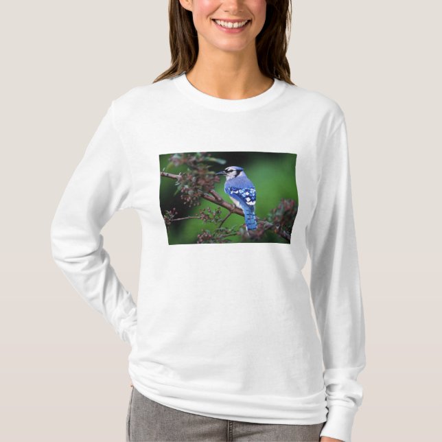 Camiseta Azul Jay, Cyaoncitta cristata (Frente)