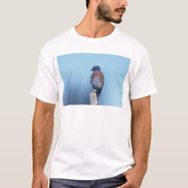 Camiseta Azulinho-ocidental