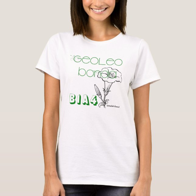 Camiseta B1A4 tentou andar T (Frente)
