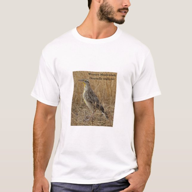 Camiseta B57 Cotovia-de-barriga-amarela (Frente)