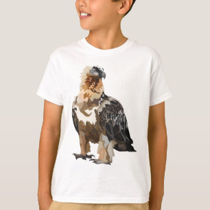 Camiseta B é destinado ao urubu