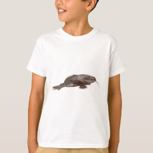 Camiseta B é para o Black Throated Monitor Lizard