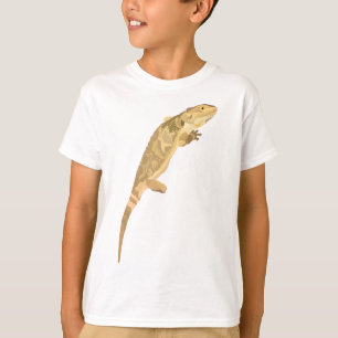 Camiseta B é para o Dragão Carborado