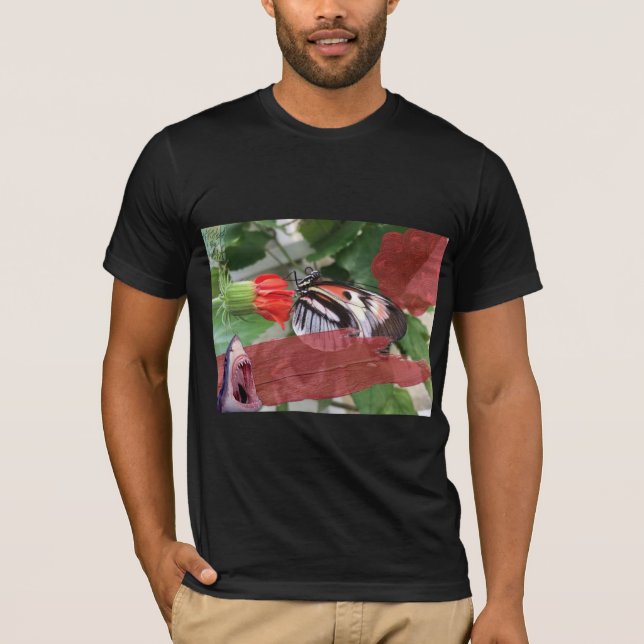 Camiseta $ B$ $harks & Old English (Frente)