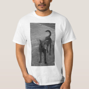 Camiseta B&W - Aspin