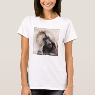 Camiseta Babuíno Gelada, Etiópia