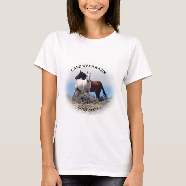 CAMISETA BACIA DE AREIA WASH (Frente)