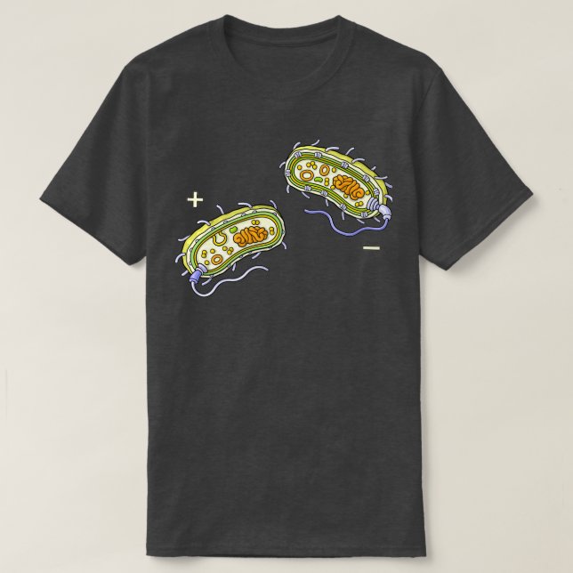 Camiseta Bactérias Estrutura Interna Gram Positiva e Gram (Frente do Design)