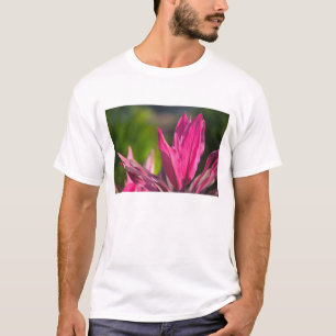 Camiseta BAHAMAS, Ilha de Nova Providência, Nassau: Paraíso
