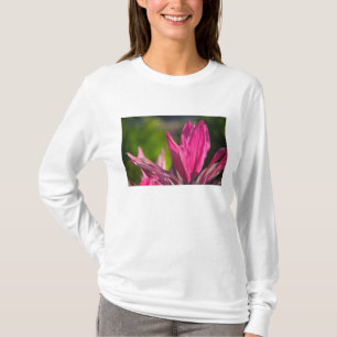 Camiseta BAHAMAS, Ilha de Nova Providência, Nassau: Paraíso