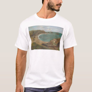 Camiseta Baía de Avalon, ilha de Catalina do papai noel