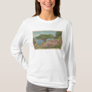 Camiseta Baía de Carmel, CA - vista "da árvore do veterano