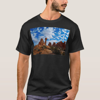 Camiseta Balanced Rock Arches National Park