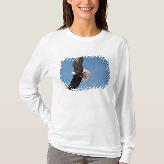 Camiseta Bald Eagle em Voo (Frente)