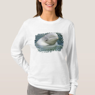 Camiseta Baleia Beluga, Delphinapterus leucas)