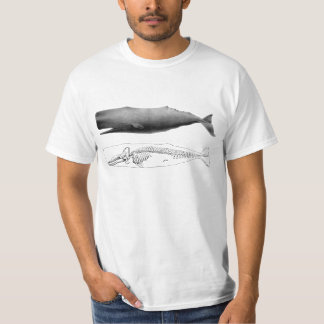 Camiseta baleia de esperma