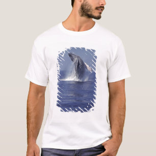 Camiseta Baleia-jubarte saltando (Megaptera