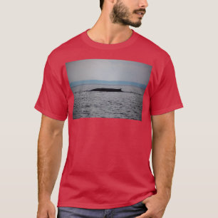 Camiseta Baleia num Impressão de chuva