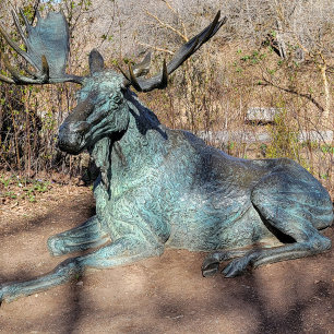 Camiseta Ballerina & Robot