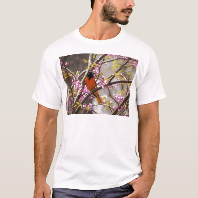 Camiseta Baltimore Oriole (Frente)