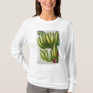 Camiseta Banana, gravada por Johann Jakob Haid (1704-67) pl