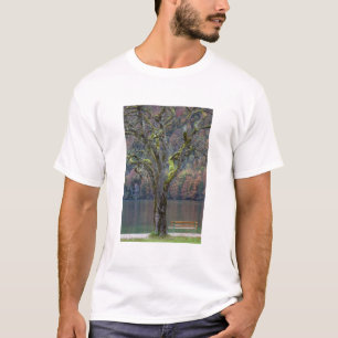 Camiseta Banco tranquilo ao longo de um lago, Alemanha