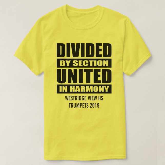 Camiseta Banda | Divididos e Unidos (Frente do Design)