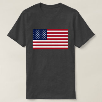 Camiseta Bandeira Americana