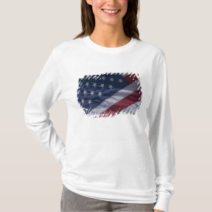 Camiseta Bandeira americana.