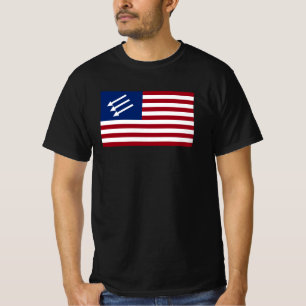 Camiseta Bandeira Americana Anti-Fascista