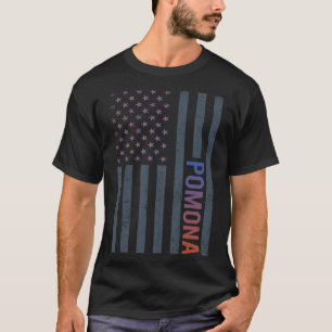 Camiseta Bandeira Americana Gradiente Pomona