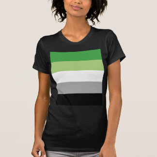 Camiseta bandeira aromantic