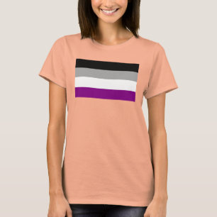 Camiseta Bandeira assexuada do orgulho