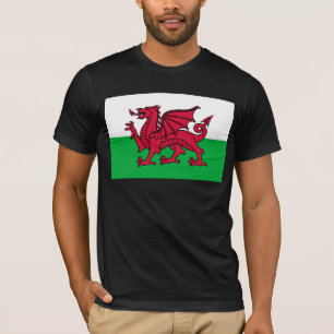 Camiseta Bandeira Celta do Dragão Vermelho do País de Gales