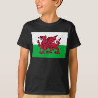 Bandeira Celta do Dragão Vermelho do País de Gales