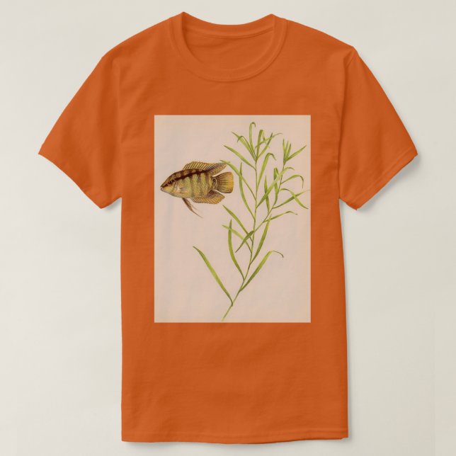 Camiseta Bandeira cichlid Mesonauta festival (Frente do Design)