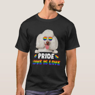 Camiseta Bandeira Colorida LGBT Divertida do Orgulho Gay do