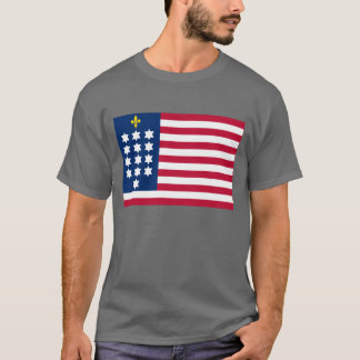 Camiseta Bandeira da Aliança Francesa